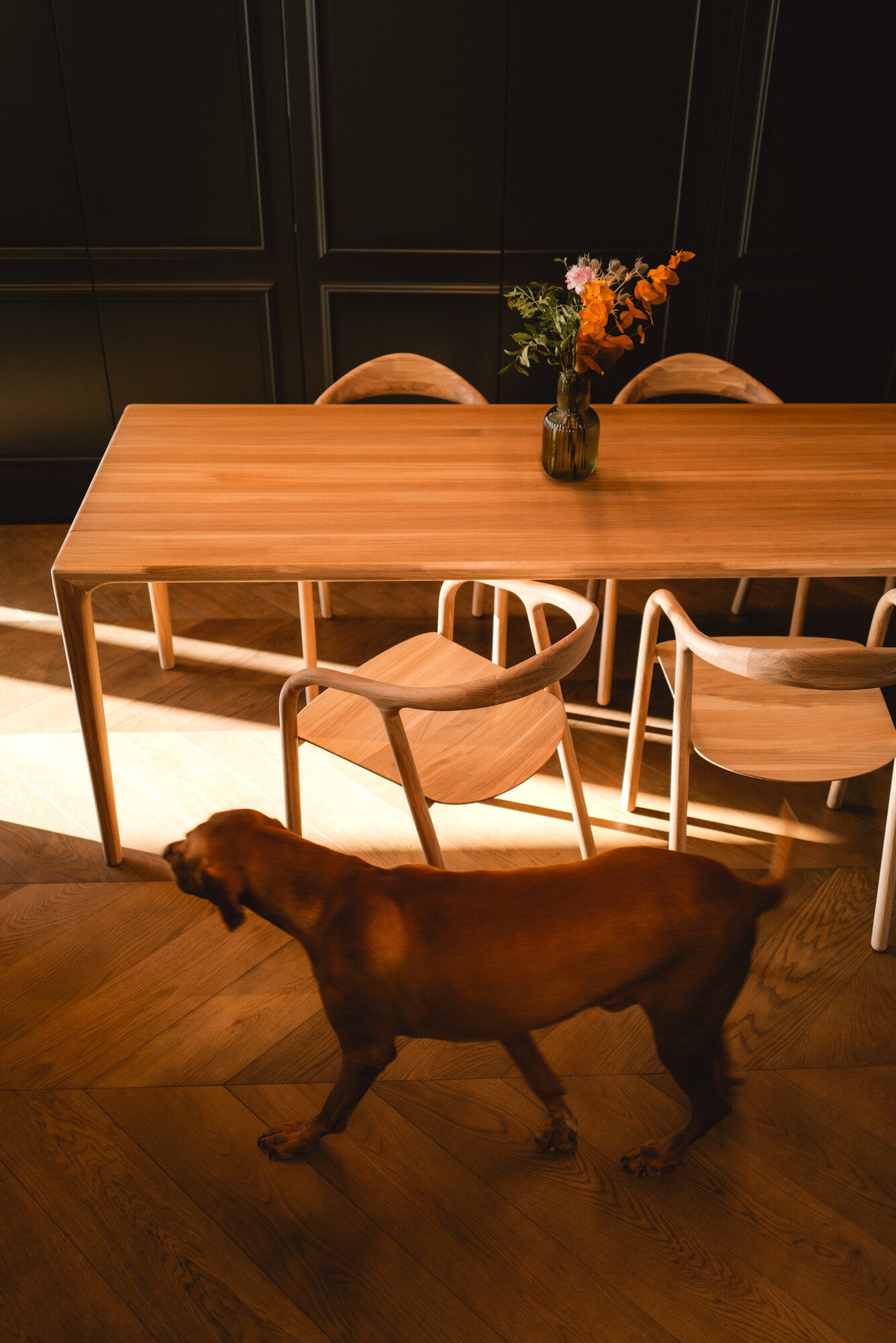 Chair Ispra